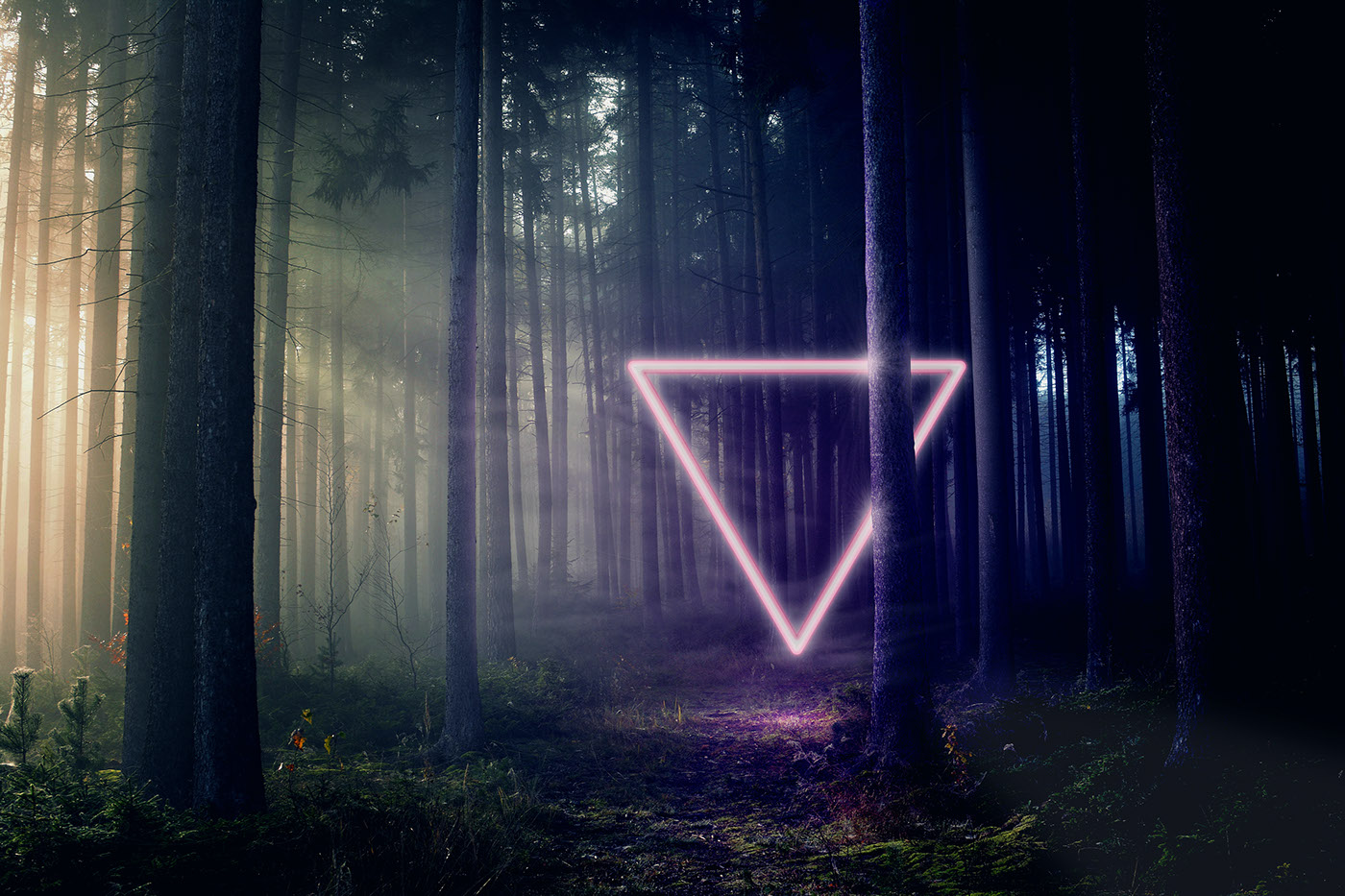 neon circle triangle forest cave geometric