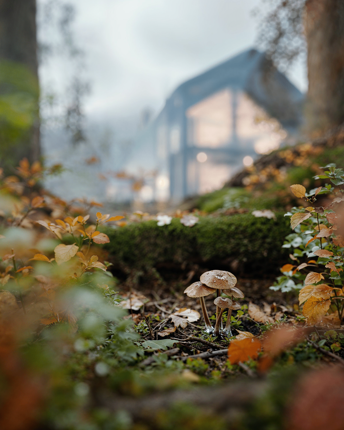 Outdoor Nature house exterior visualization autumn