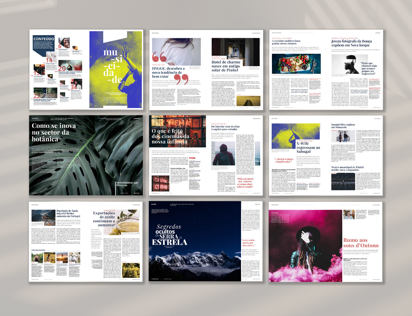 design design gráfico editorial editorial design  graphic graphic design  Layout Layout Design magazine Magazine design