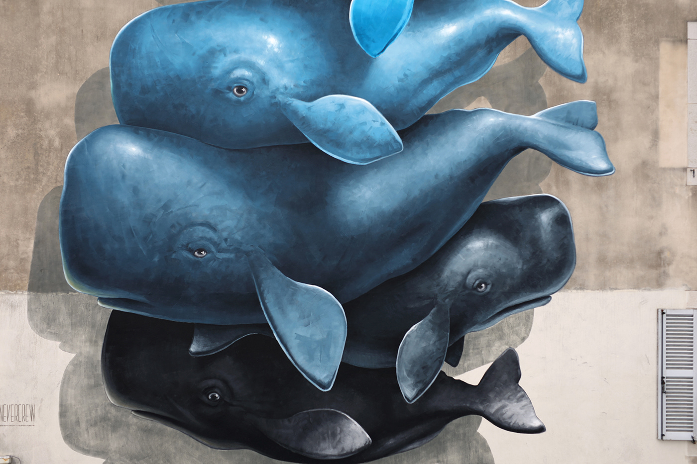 Whale bayonne france tide Street Art  sperm whale