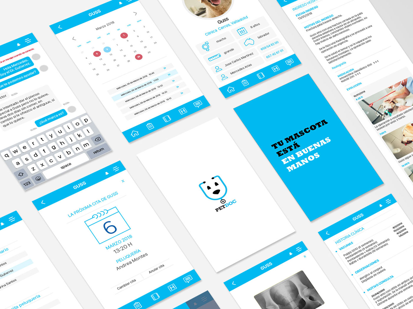 Web app branding  Experiencia de usuario Graphic Designer UX UI