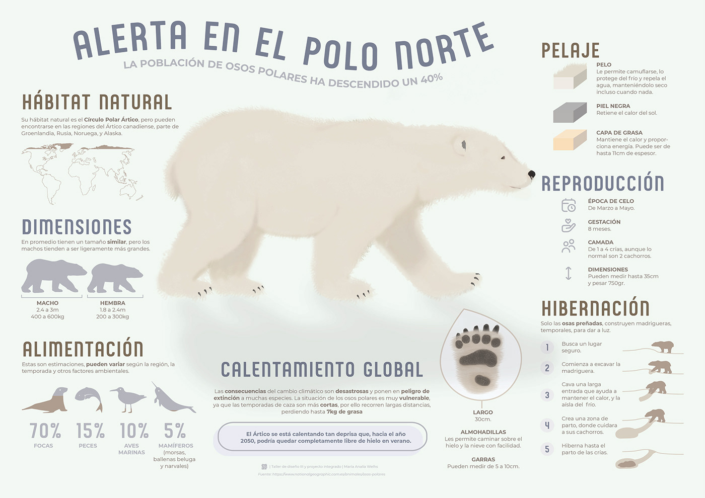 infographic infografia infographic design northpole Polar Bear climate change polonorte