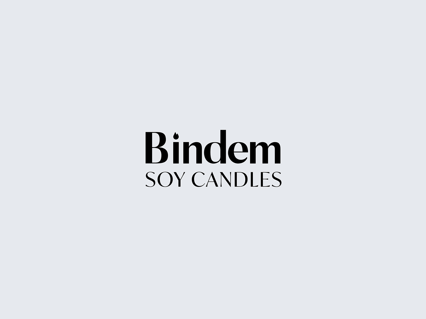 brand identity branding  logo Packaging packaging design typography   brand candle graphic design  identity