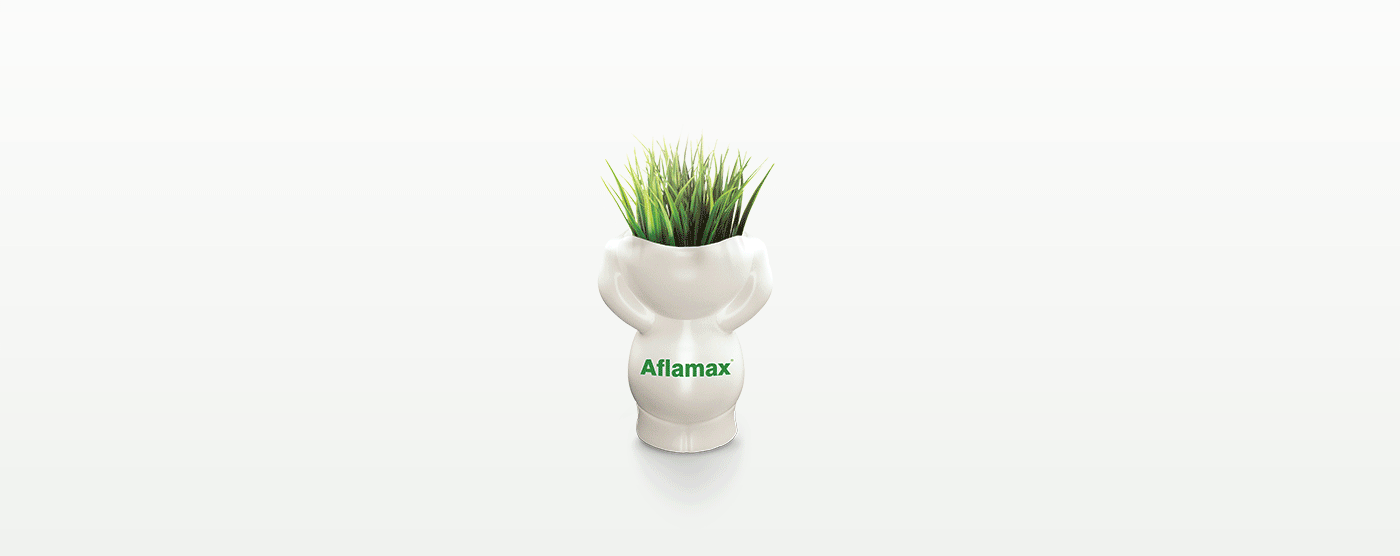 branding  Packaging art direction  agency Health brand Aflamax Advertising  lima peru
