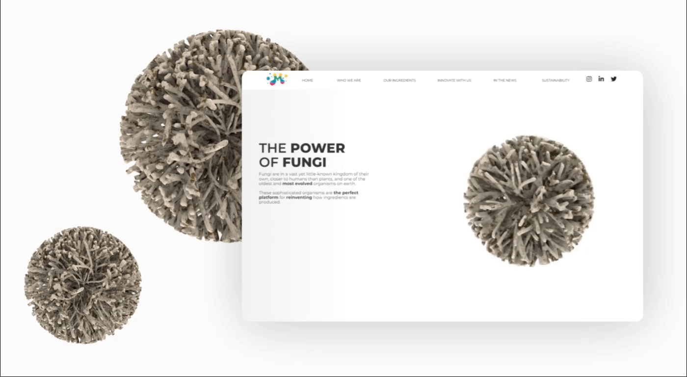 3D Fungi graphic design  indiebio michroma mushroom Render science ux Website