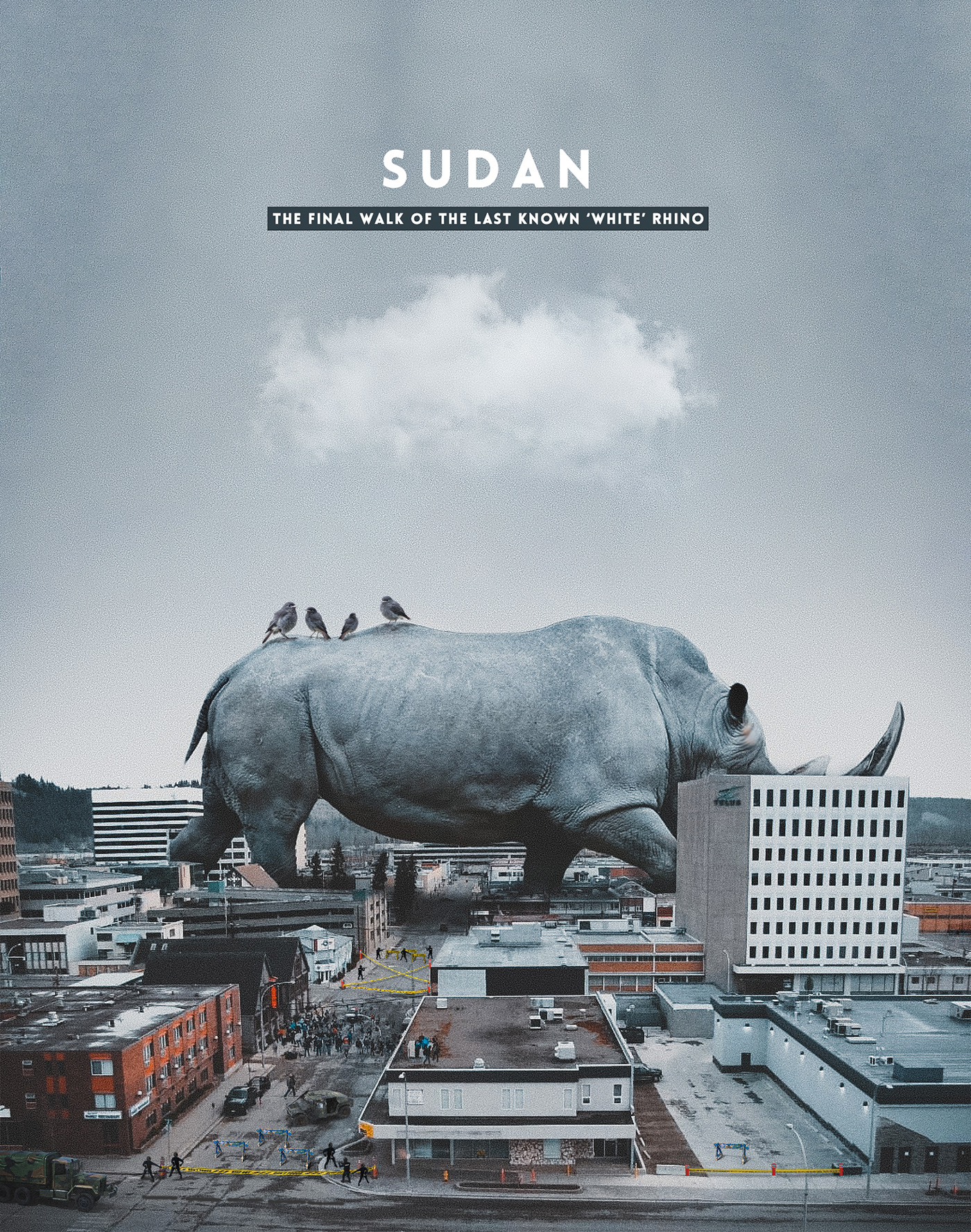 african rhino Composite endangered species manipulation national geographic photoshop Poster Design Rhino white rhino WWF