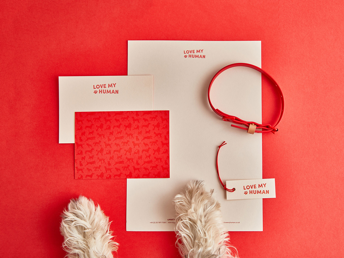 pets lifestyle London Stationery branding  dogs luxury Retail cats letterpress