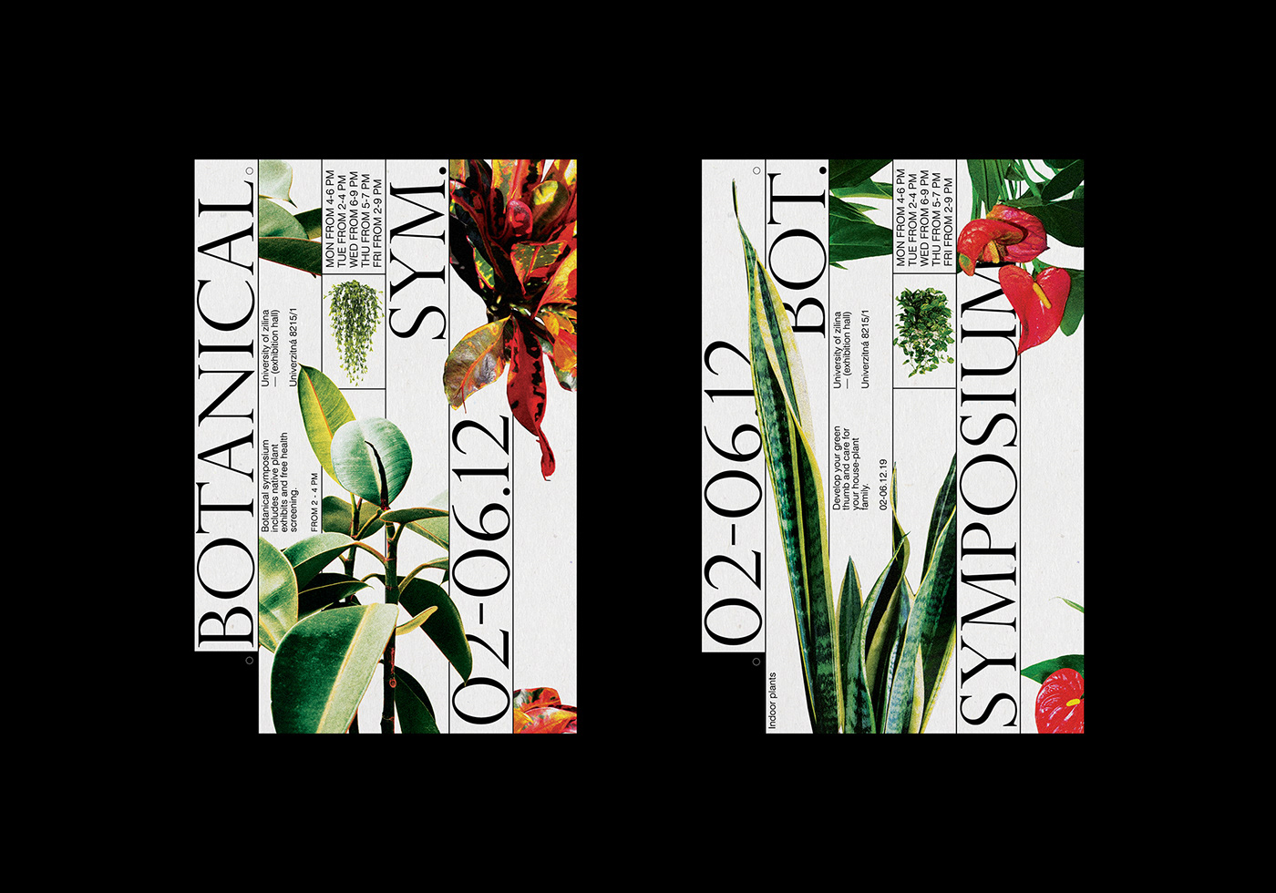 poster graphic design  botanical garden Exhibition  symposium typography   print editorial Plant