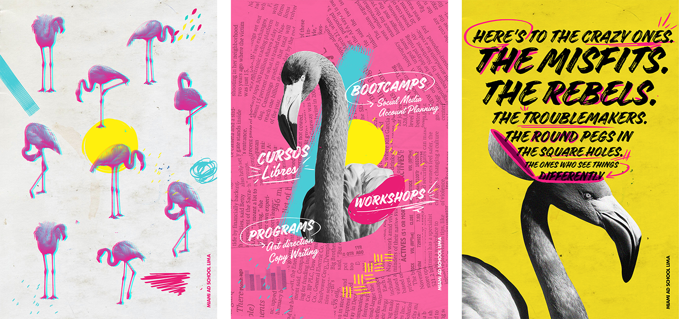 Miami ad school poster folleto flamingo Flamenco pink post social media facebook collage