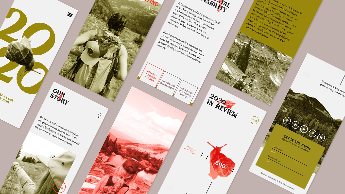 Corporate Design corporate report digital Nature report design shillington typography   Website Website Design