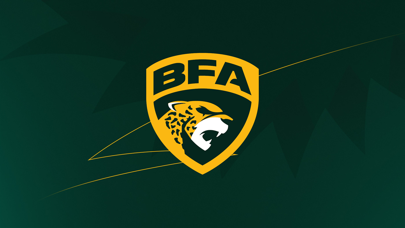 american football BFA branding  brazilian football liga bfa Sports Branding
