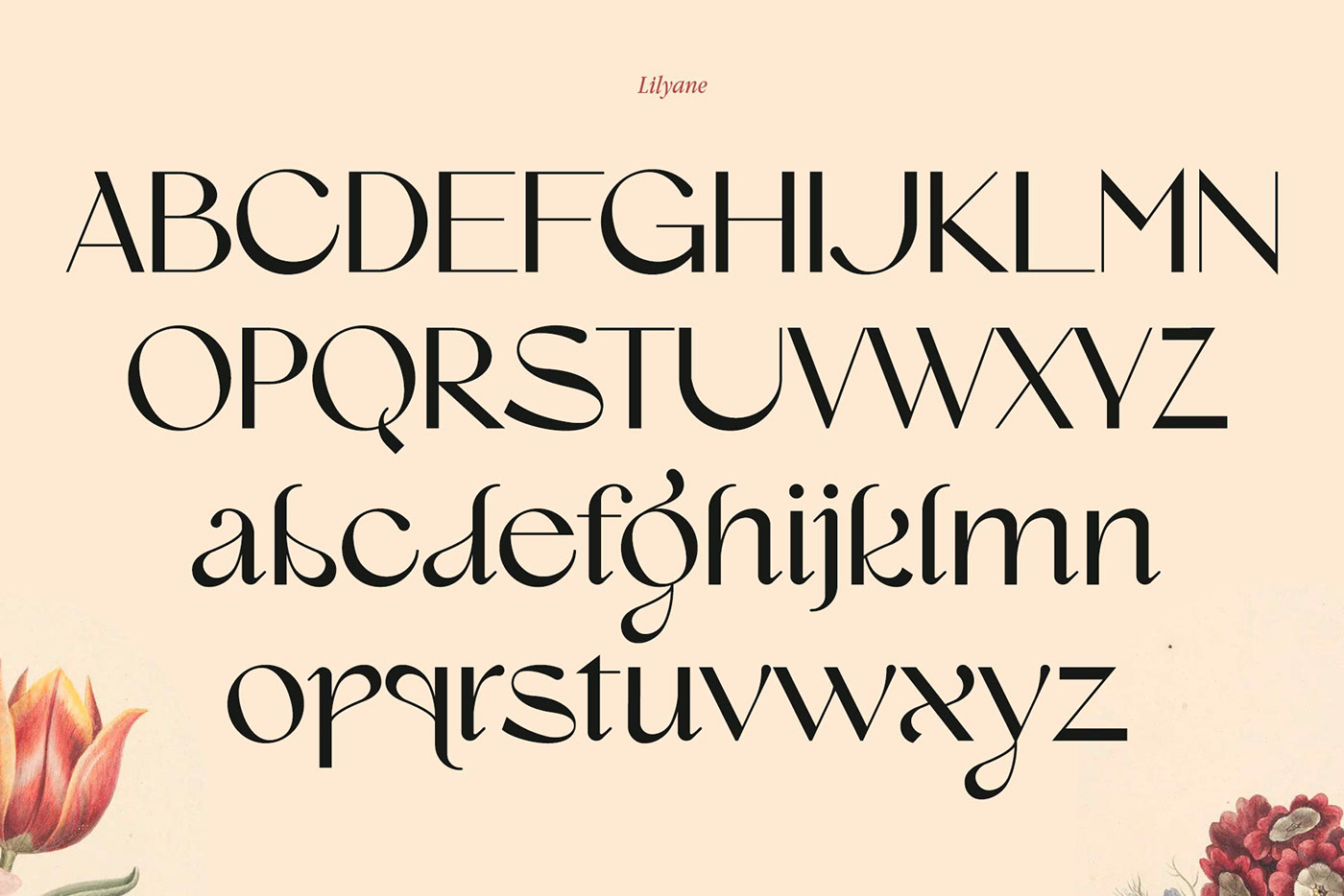Display elegant font Free font free fonts luxury modern serif type Typeface