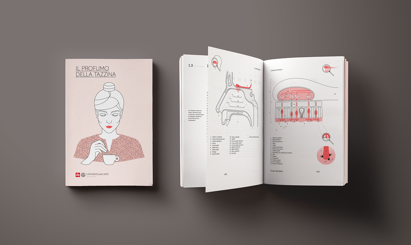Aroma book Coffee editorial ILLUSTRATION  Illustrator InDesign infographics kit scientific