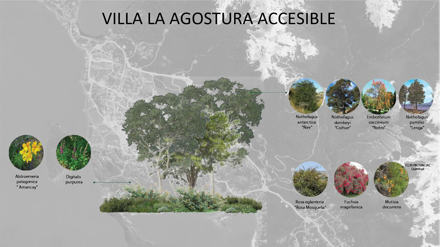 Villa La Angostura city argentina Landscape Architecture  Landscape Design architecture exterior visualization Sustainability Ecology
