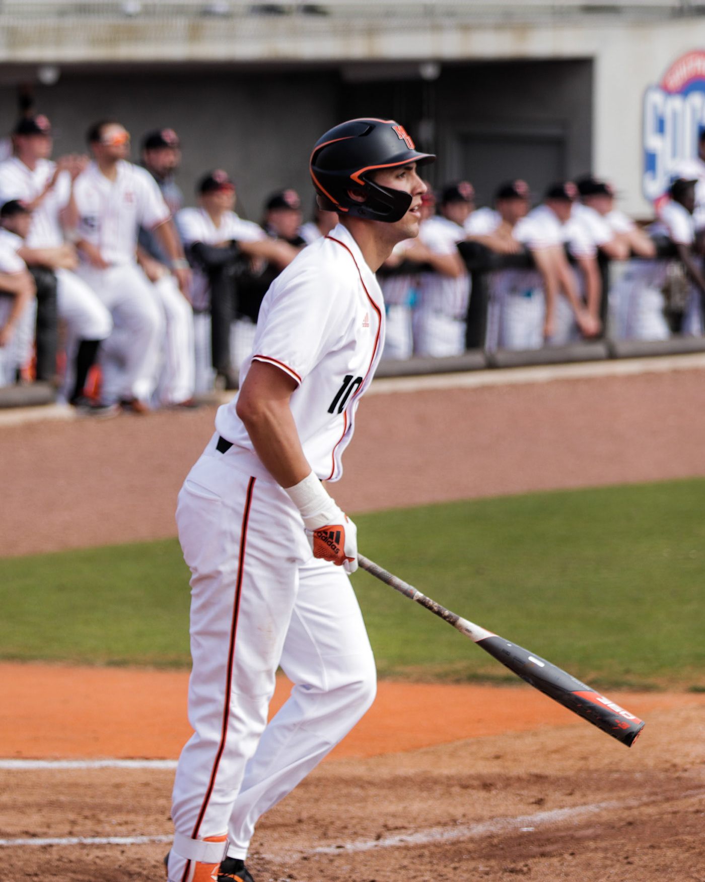 baseball bears baseball Mercer University NCAA sports