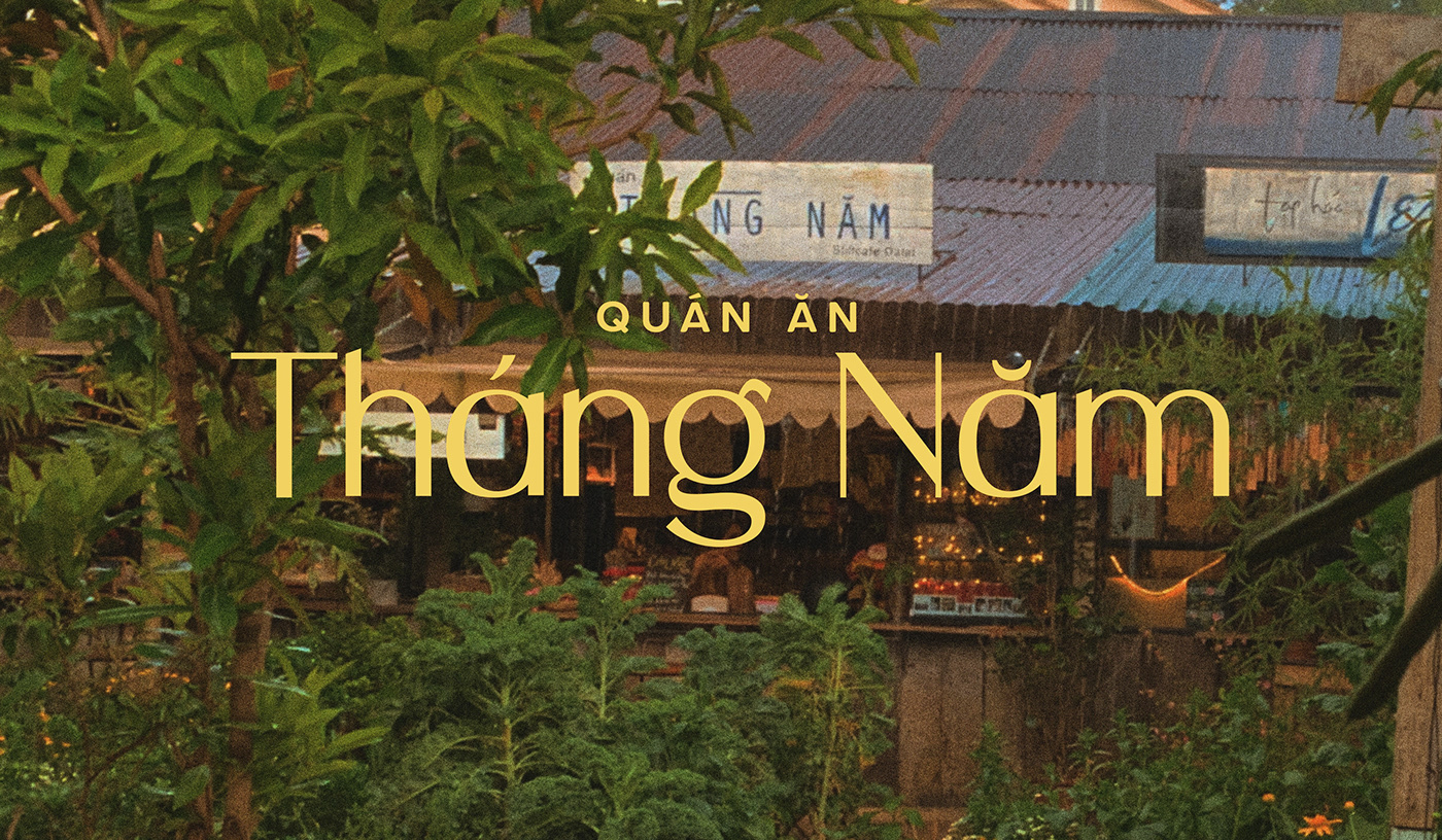 fonts free fonts Logo types sans serif Typeface vietnam