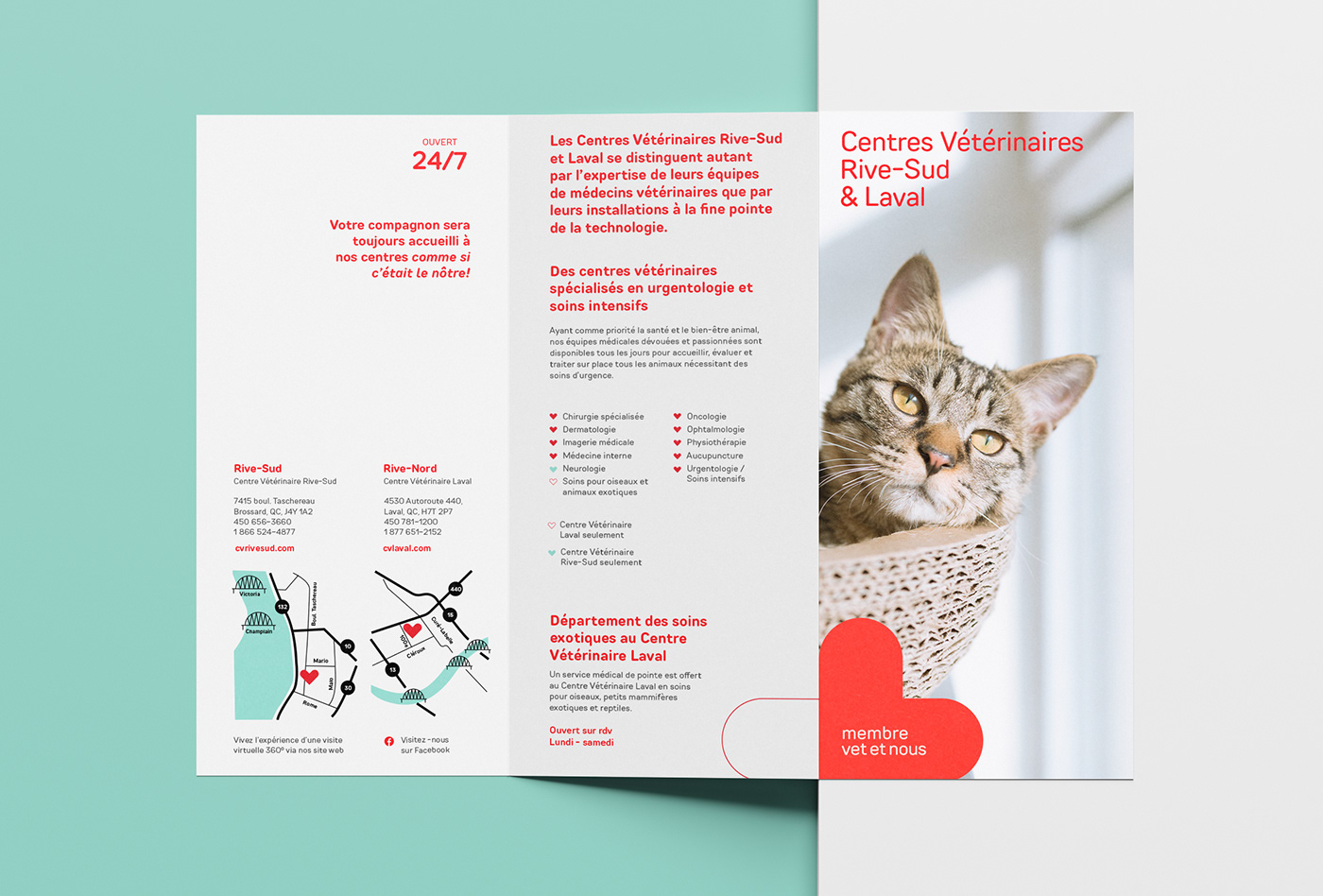branding  graphic design  naming strategy vet veterinary Health identity pets