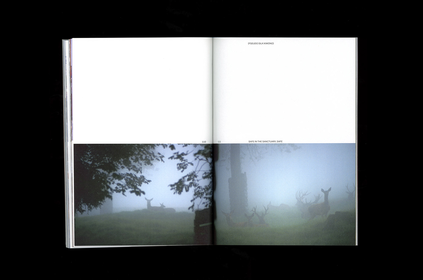 editorial editorial design  book design book Photography  analog photography
