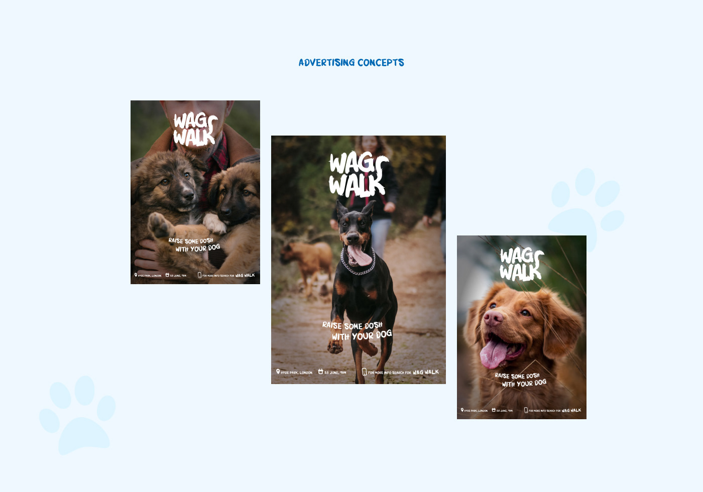 branding  dogs lifestyle Advertising  animals Events logo social