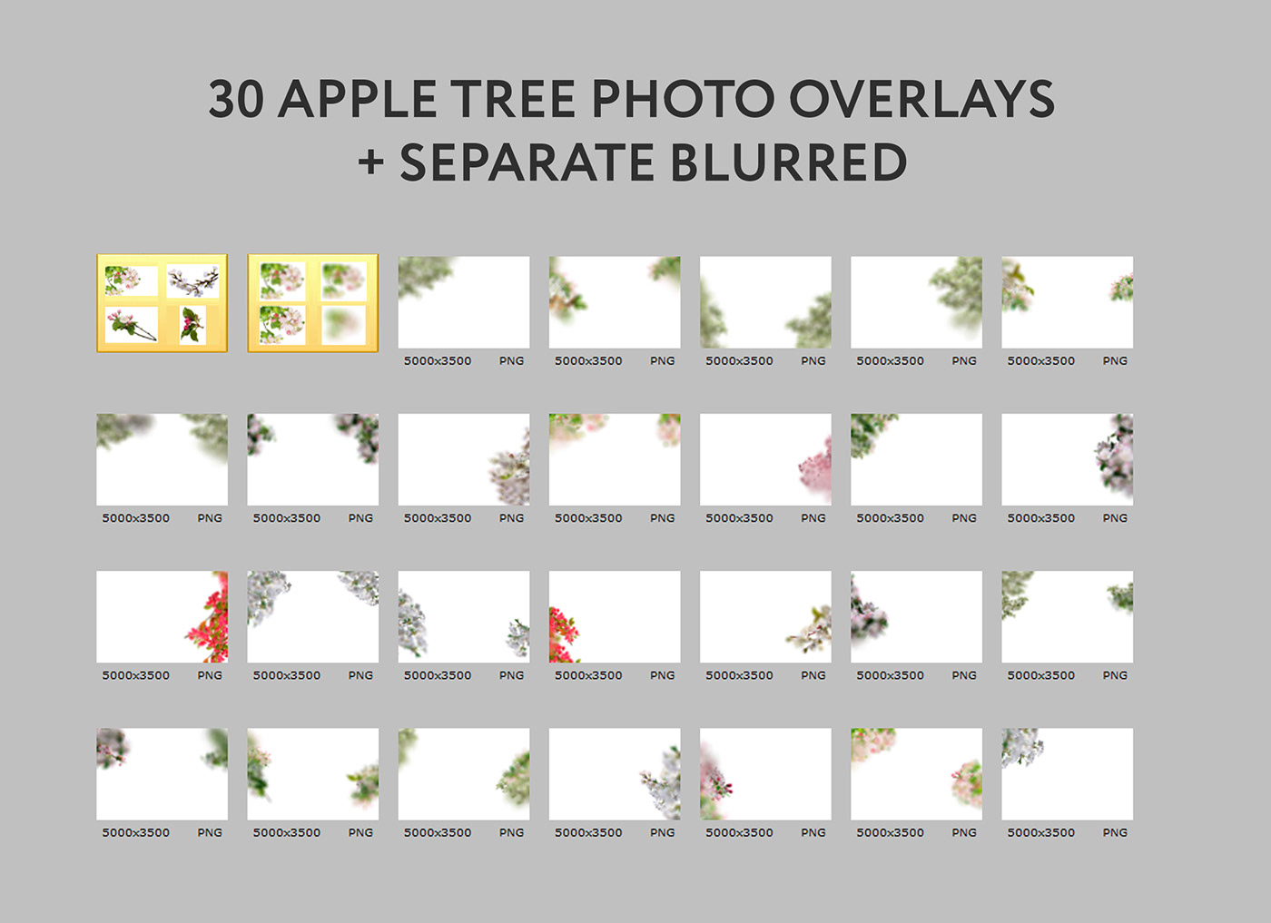 Apple Tree Digital Overlay  Flower Overlay flower photography photo overlays photoshop overlay png overlays Summer Overlays tree branch Wedding Overlays