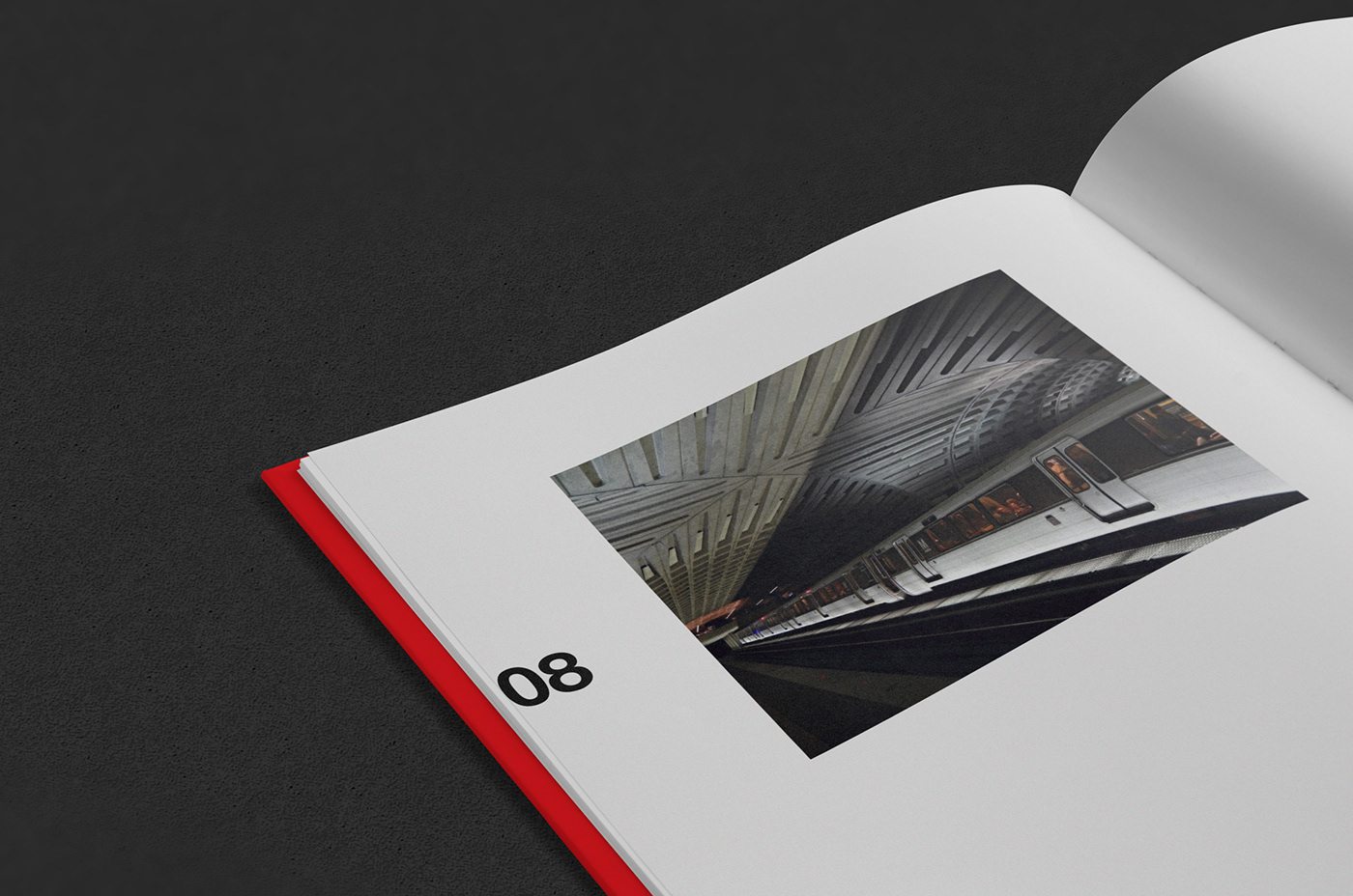 book editorial swiss Photography  typography   grid