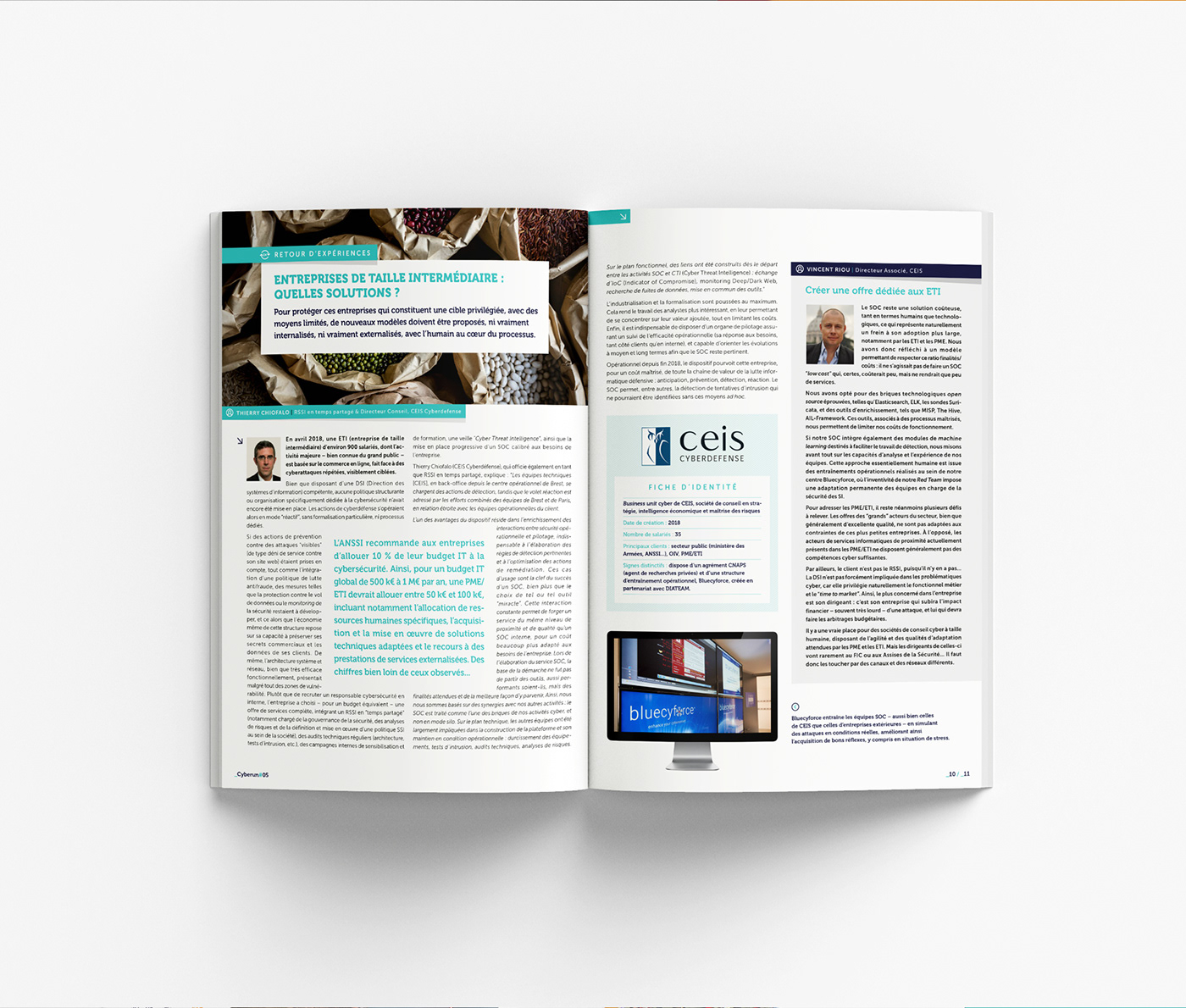 brochure business Cyber Security cybersecurity magazine print design  strategies