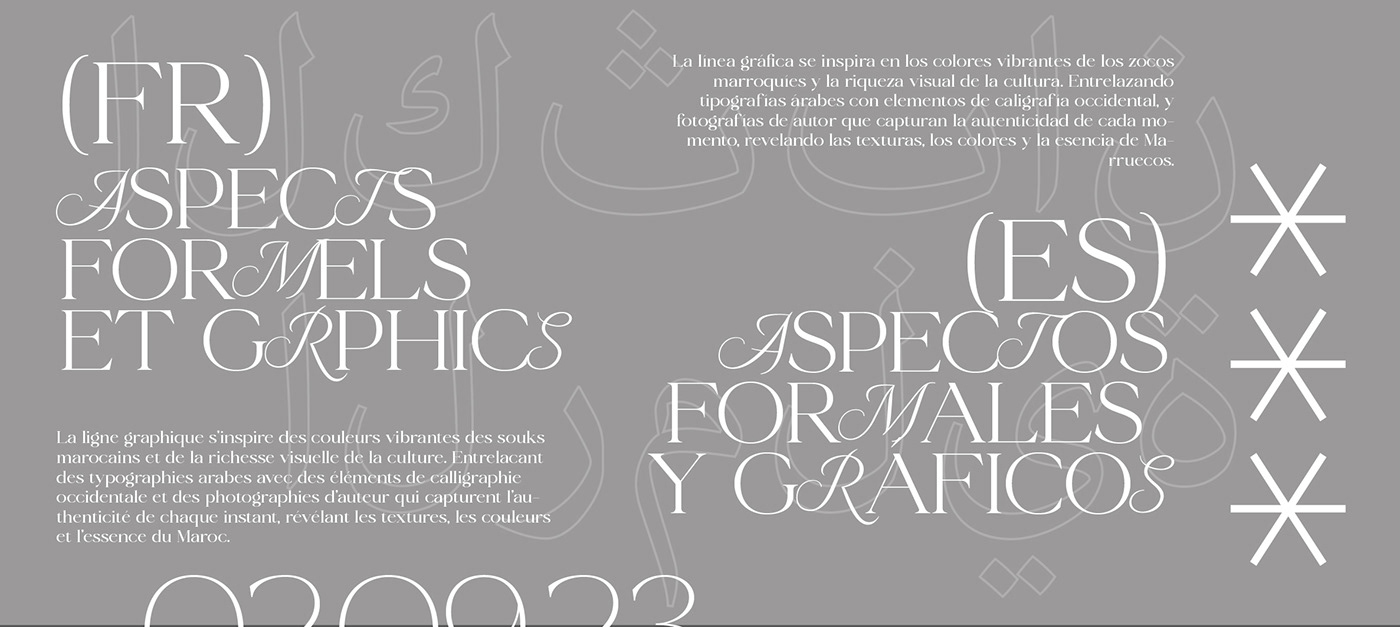 design Graphic Designer Logo Design visual identity editorial design  fanzine magazine book cover design editorial