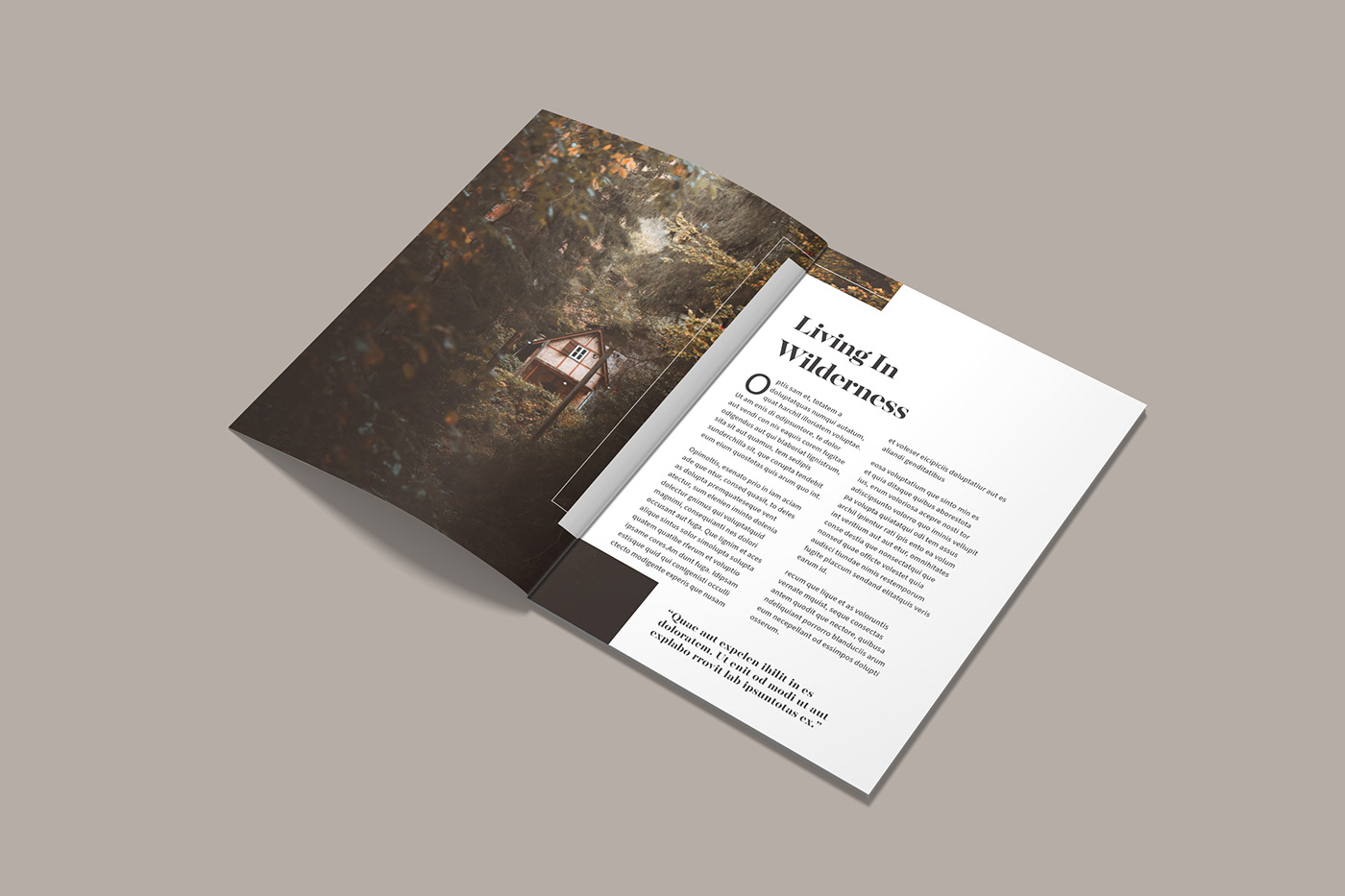 Advertising  briefbox editorial editorial design  graphic design  InDesign Layout magazine Magazine design print