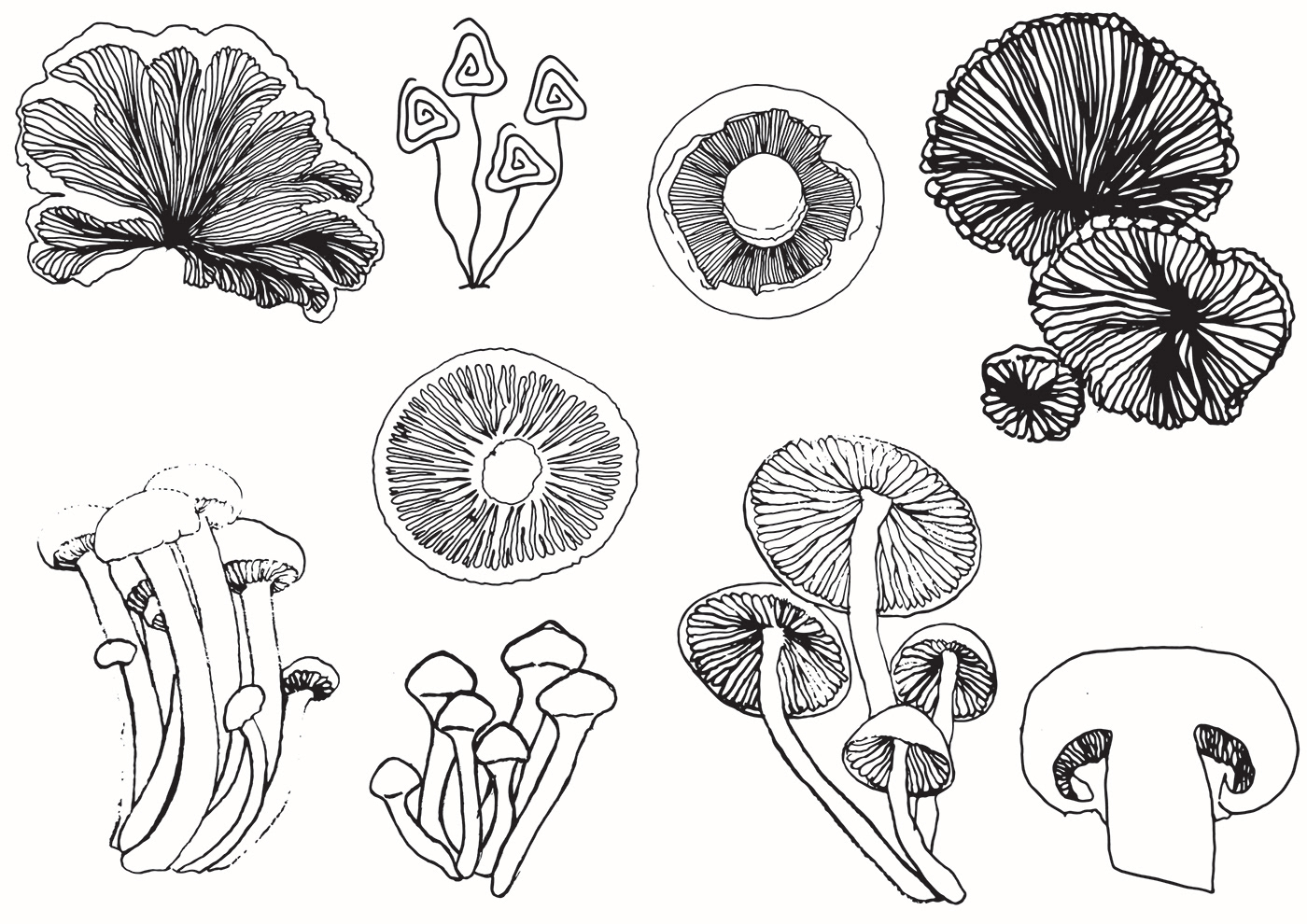 Digital Printing Embroidery Fungi home textiles inkblot Mix media mushroom surface development textile design  texture