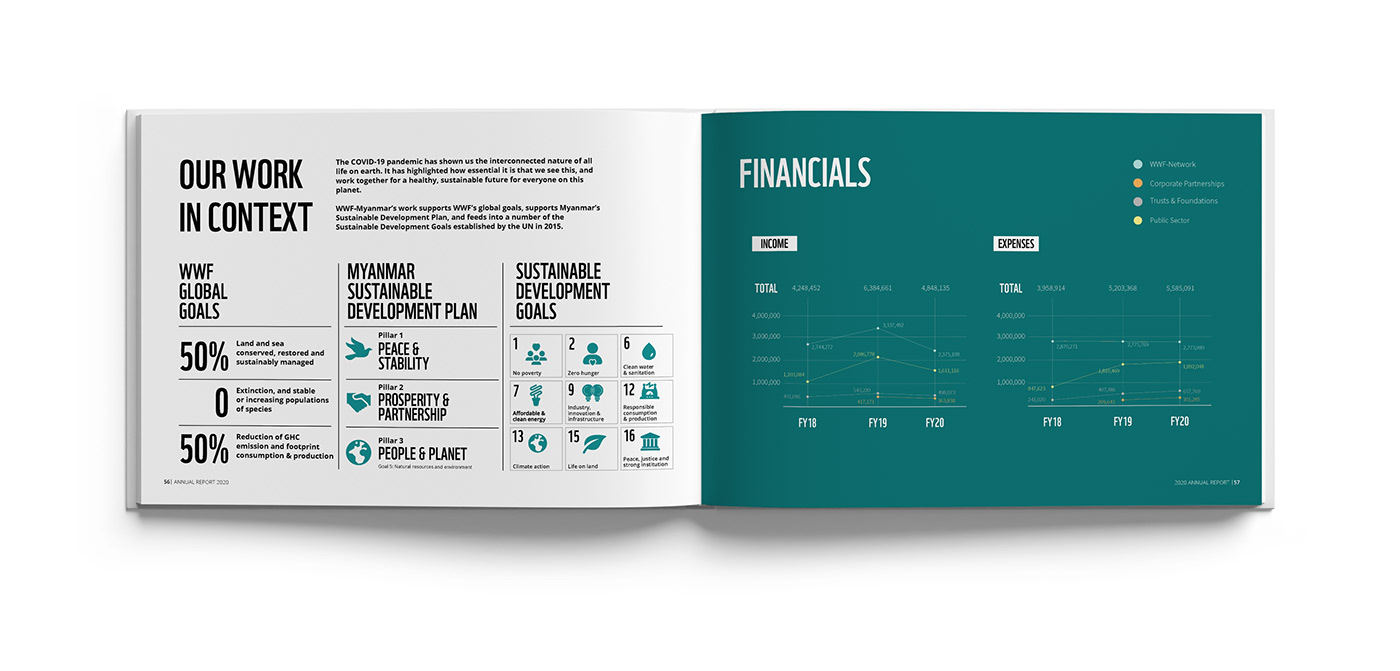 ANNUAL annual report designs design infographics Layout report report designs