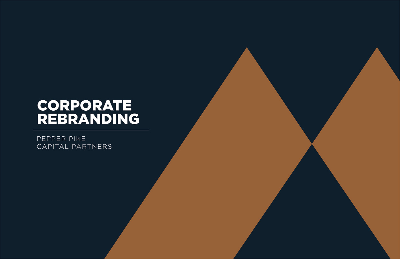 brand identity branding  presentation design