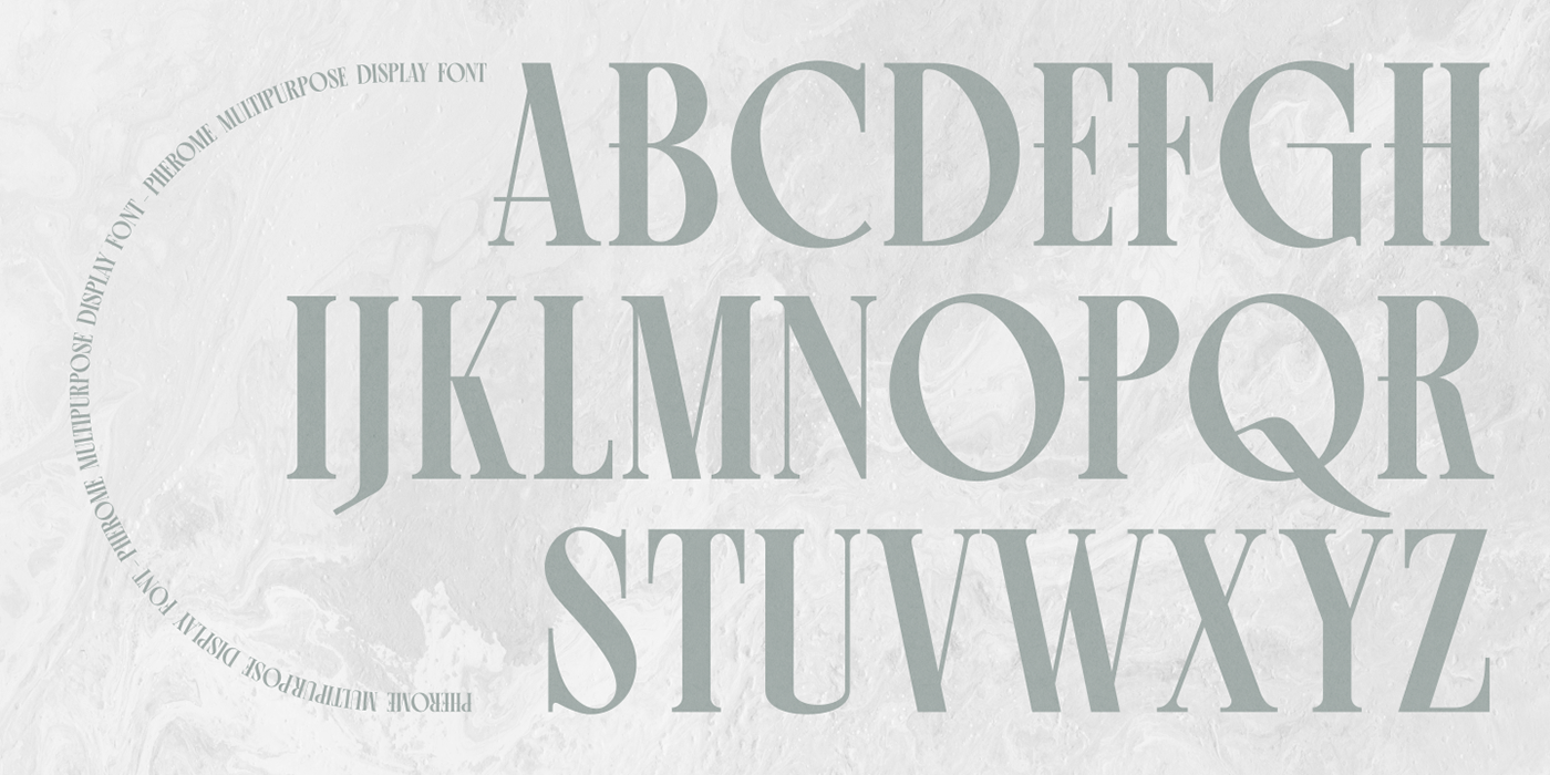 alternates branding  Display Fashion font font Ligatures Logotype Retro Typeface typography  