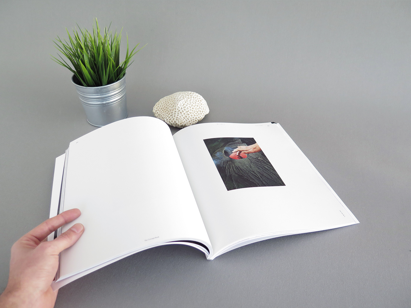 book editorial design concept Project school graphic photo Travel trip color Behance