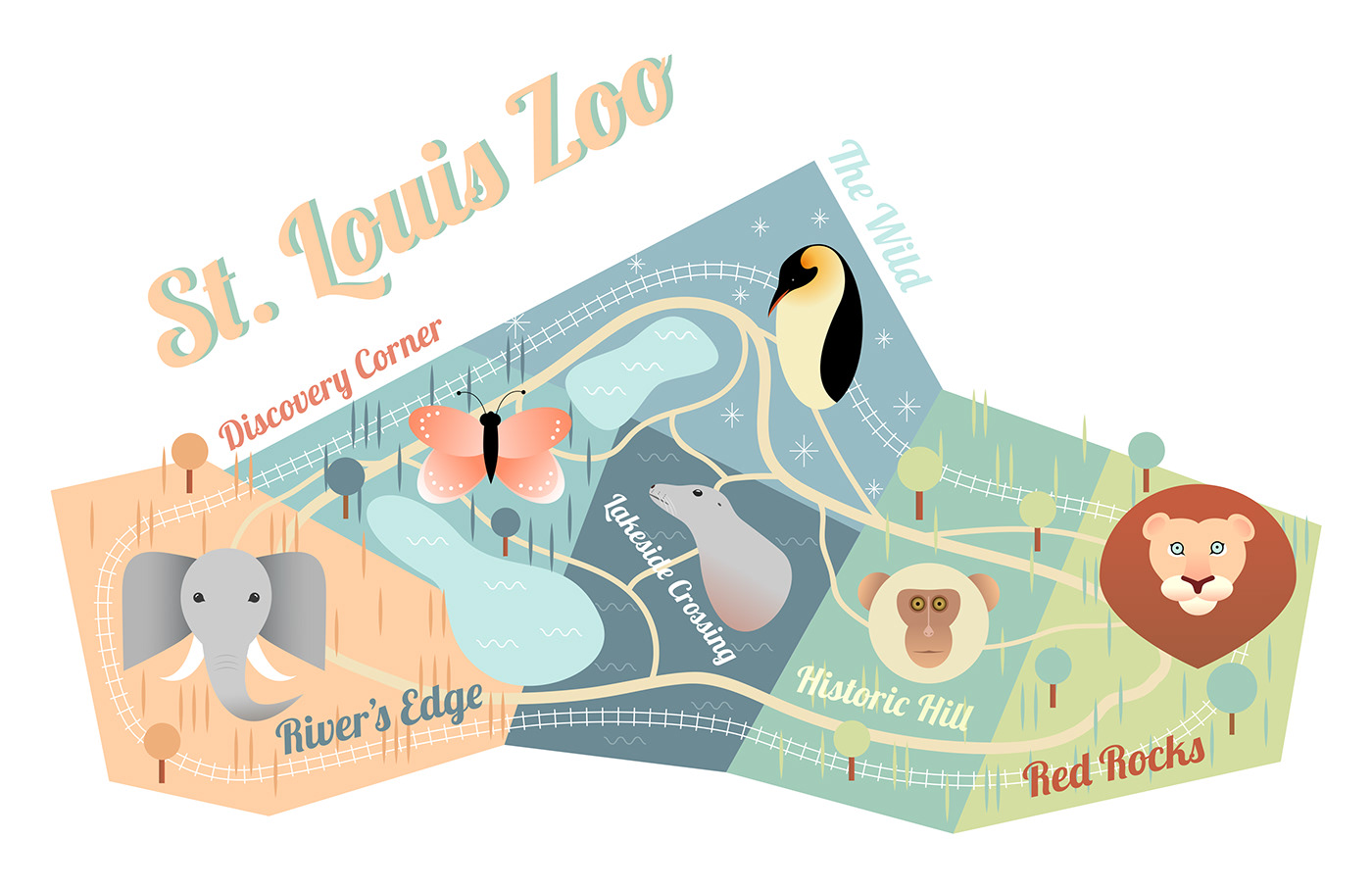 animals branding  ILLUSTRATION  map MIssouri stlouis vector zoo