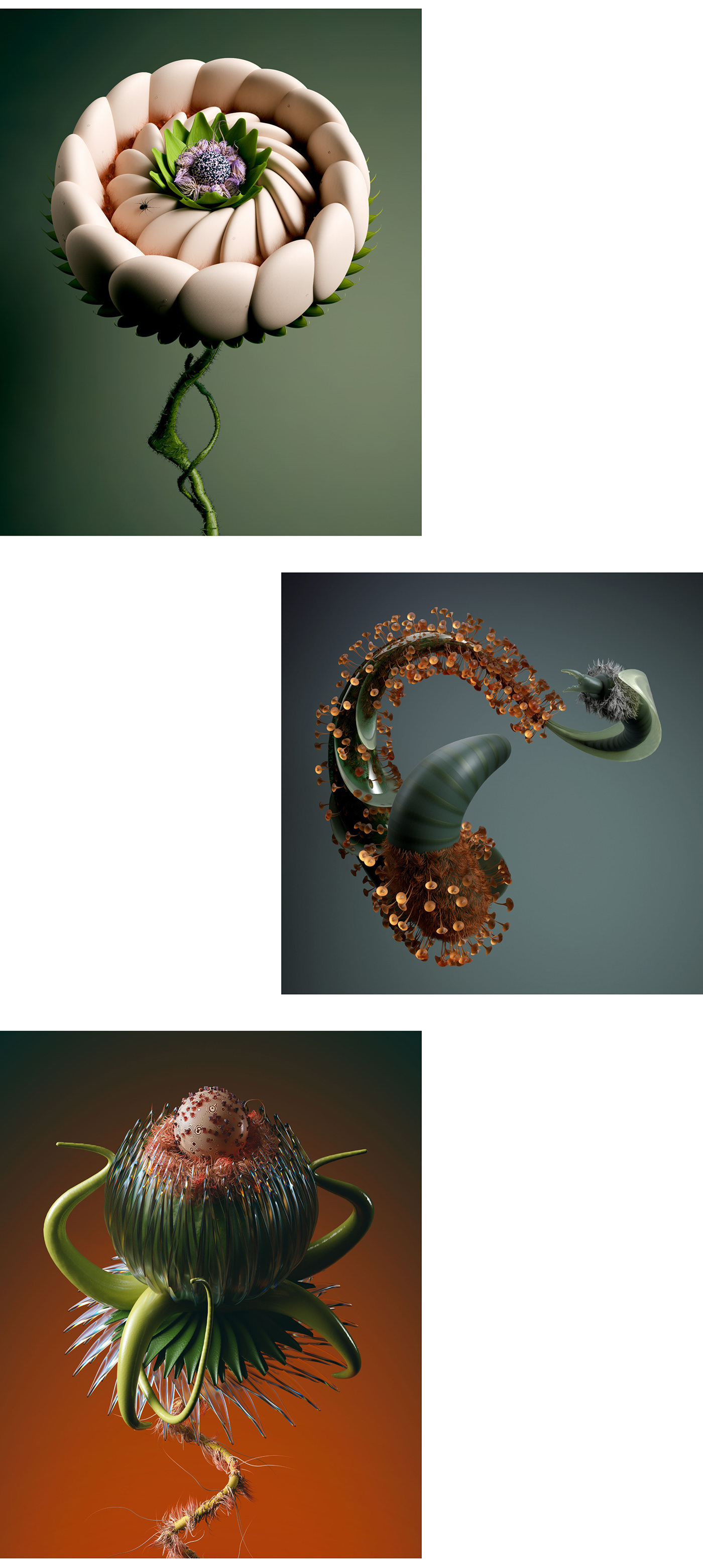 CGI 3D Render flower botanical plants research science biology anatomy
