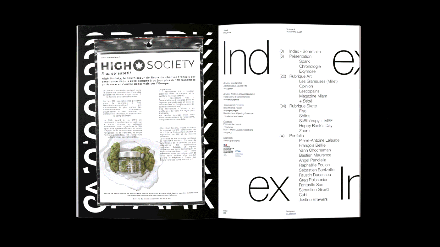 book design design editorial graphic design  Layout magazine poster print skate typography  