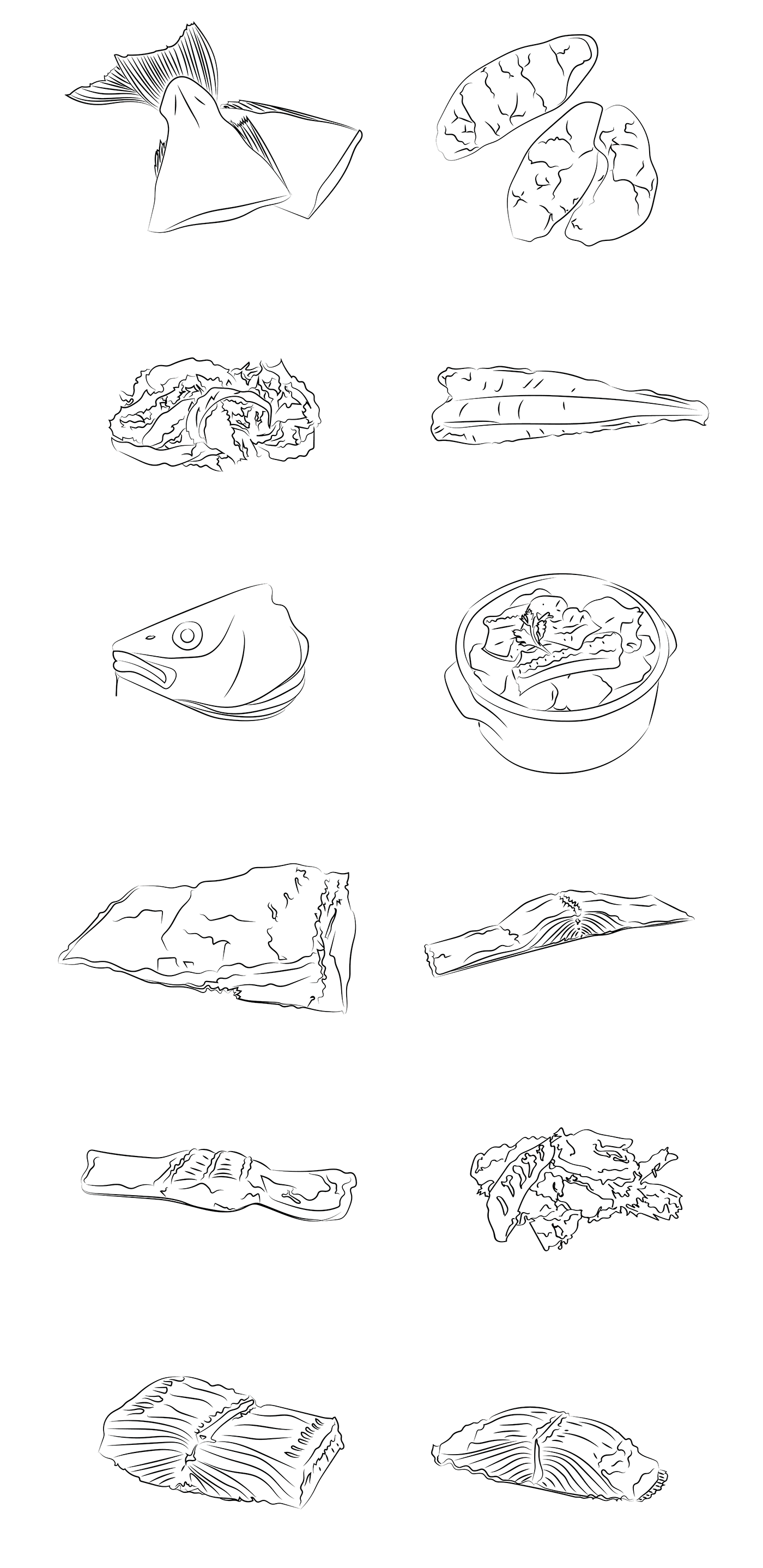 comida desenho friolhão Illustrador Ilustração mar marisco Moluscos peixes