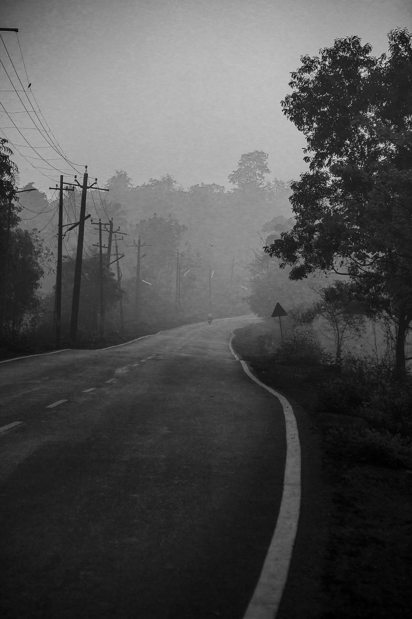 misty MORNING Goa blackandwhite Photography  India Nature fog winter feb