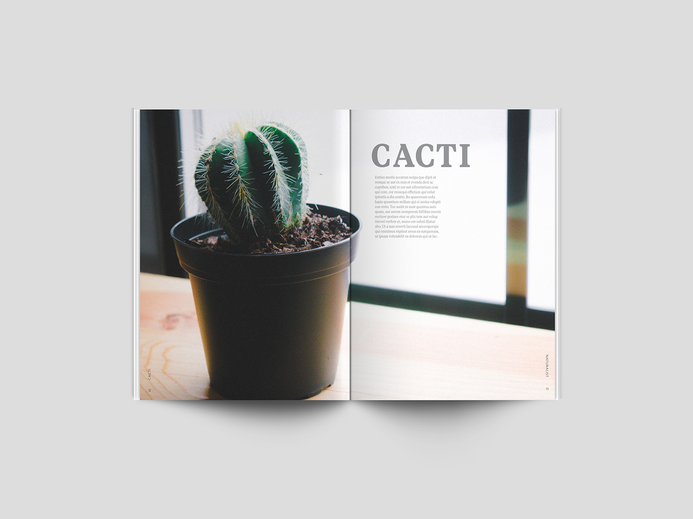 publication graphic design  editorial design  Photography  magazine magazine publication design adobeawards