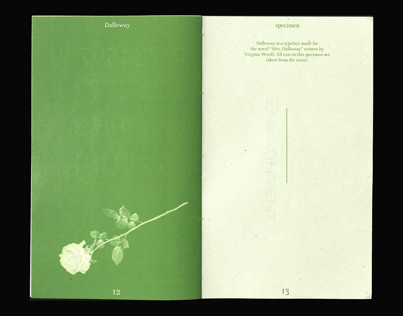 Typeface Type Specimen Booklet Zine  specimen book