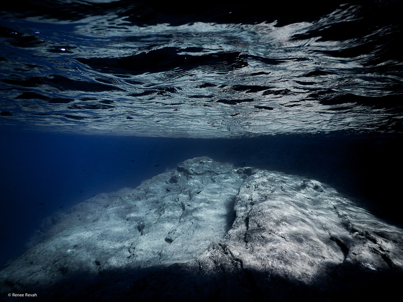 underwater Photography  BM minimal