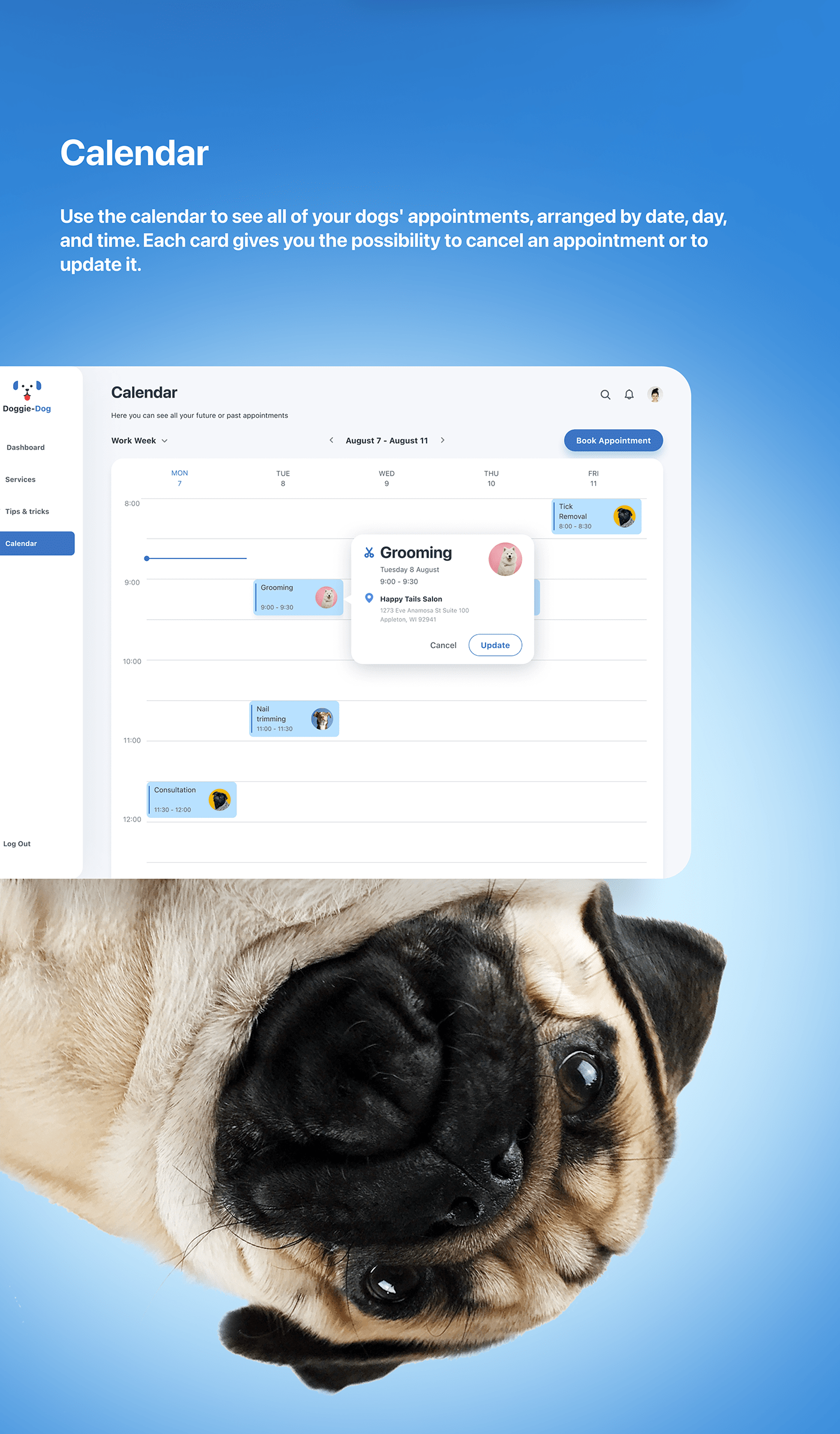 Appointment calendar dashboard doctor dogs Figma medical Pet veterinary webapp