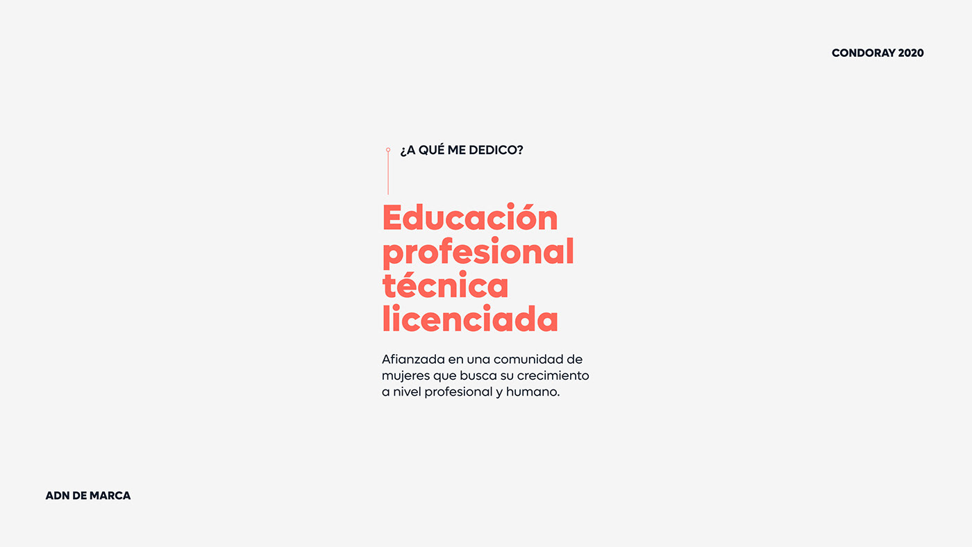 brand branding  Education identity institute marca visual Web Design  Website