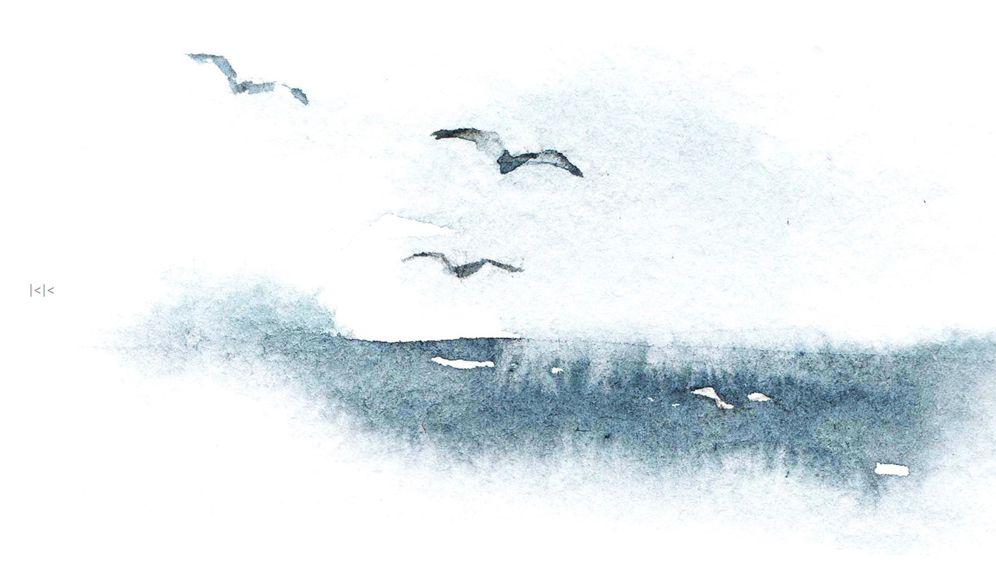 art birds ILLUSTRATION  knyshksenya men watercolor freedom aquarella Flying fog