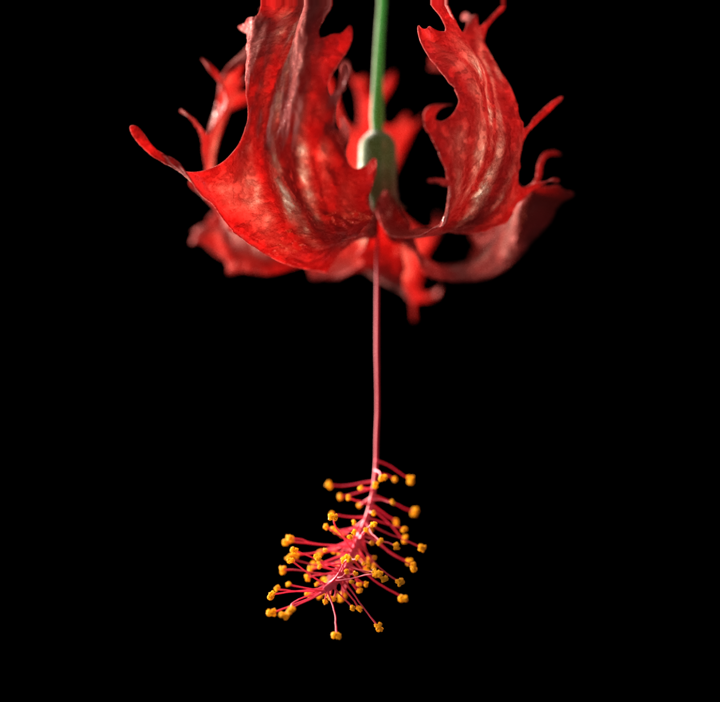 houdini 3D Render Procedural generative abstract Digital Art  redshift octane c4d