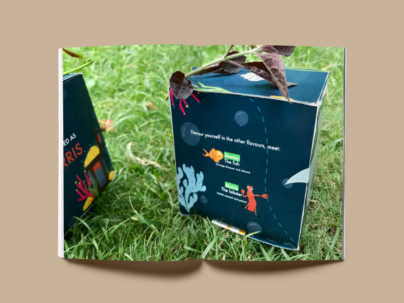 recyclable story kids the bravest fish matt buckingham Procreate magazine Photography  product Packaging & Branding