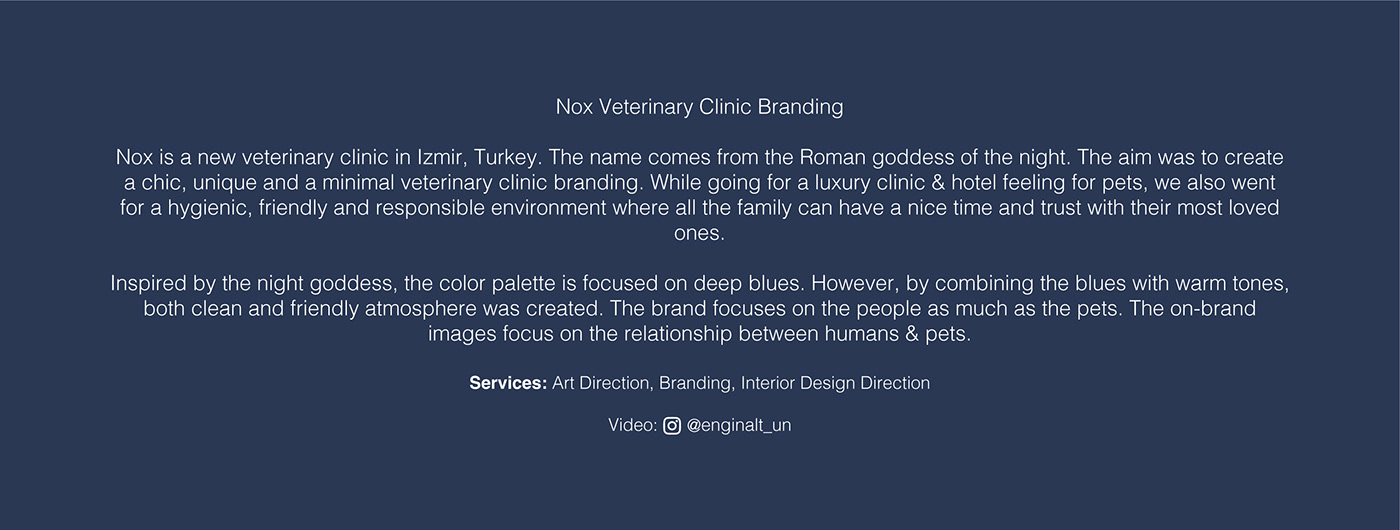 brand Brand Design brand identity branding  clinic identity Logo Design veterinary visual visual identity