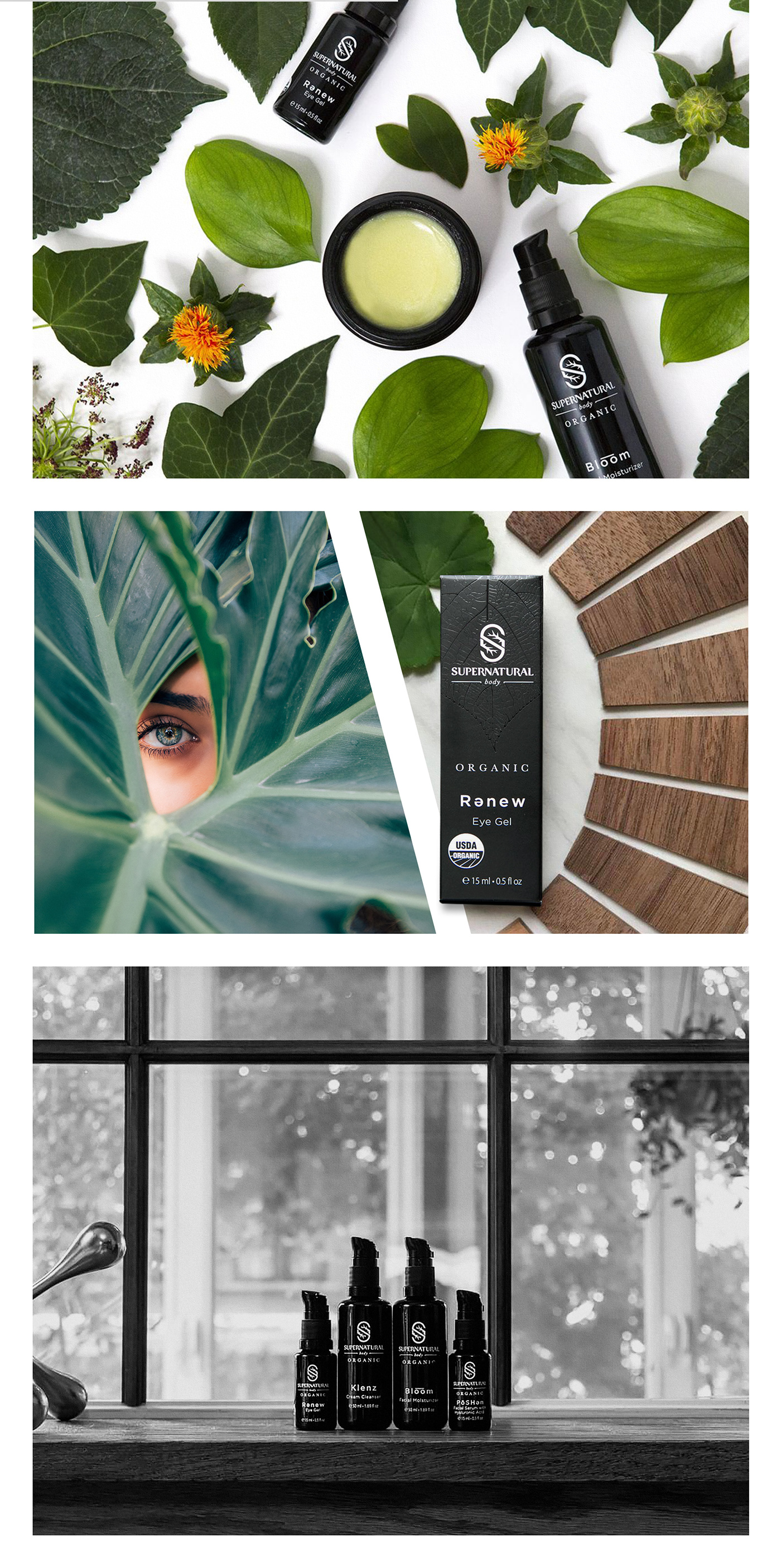 Packaging organic branding embalagem Cosmetic leaf Face and Body soap template Mockup