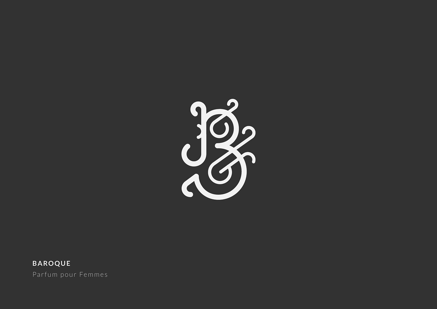 Logotype Project graphic design  identity logo type