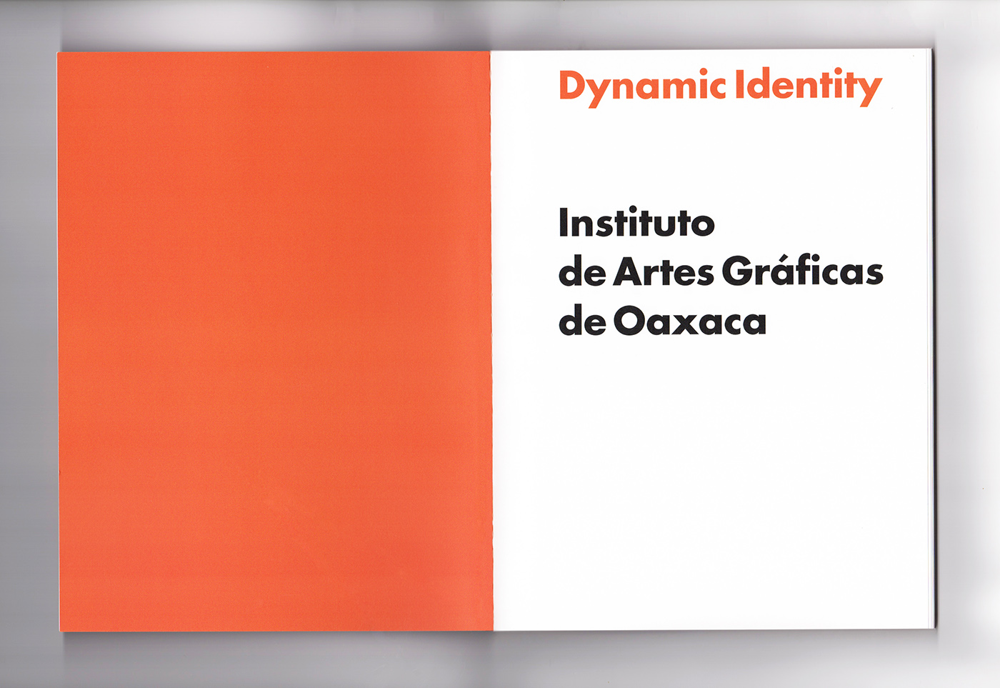 visual identity branding  logo symbol mexico book Layout typography   editorial art